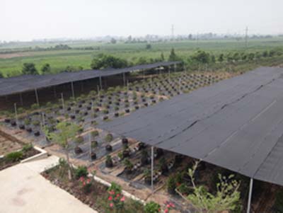 基地建设